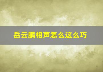 岳云鹏相声怎么这么巧