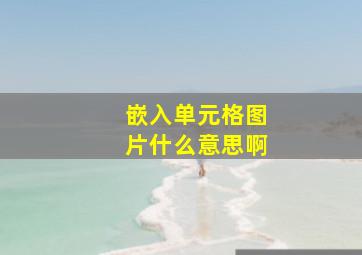 嵌入单元格图片什么意思啊