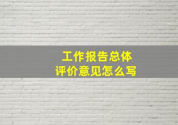 工作报告总体评价意见怎么写