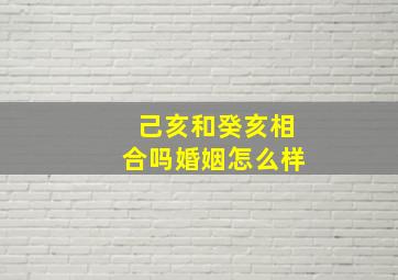 己亥和癸亥相合吗婚姻怎么样