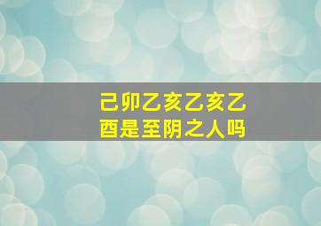 己卯乙亥乙亥乙酉是至阴之人吗