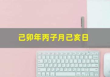 己卯年丙子月己亥日