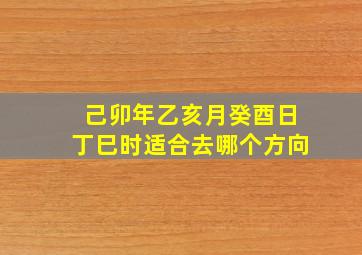 己卯年乙亥月癸酉日丁巳时适合去哪个方向