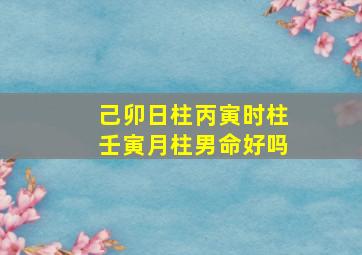 己卯日柱丙寅时柱壬寅月柱男命好吗