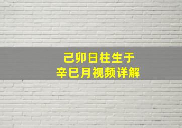 己卯日柱生于辛巳月视频详解