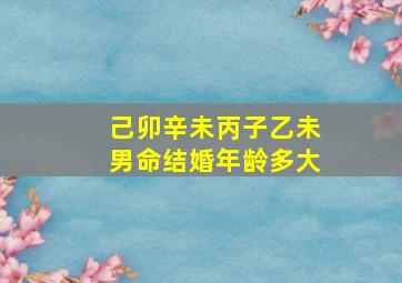 己卯辛未丙子乙未男命结婚年龄多大