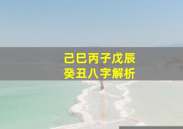 己巳丙子戊辰癸丑八字解析