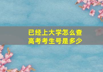 已经上大学怎么查高考考生号是多少