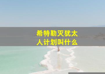 希特勒灭犹太人计划叫什么