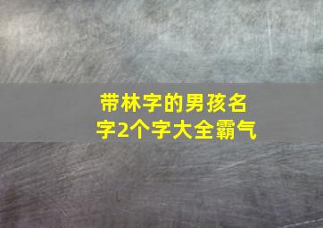 带林字的男孩名字2个字大全霸气