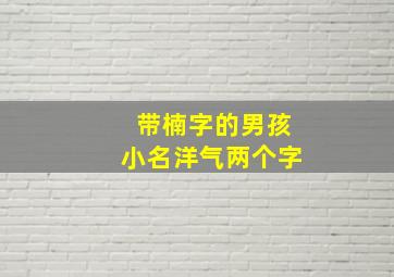 带楠字的男孩小名洋气两个字