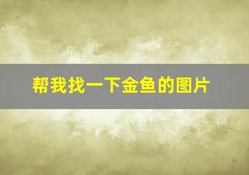 帮我找一下金鱼的图片