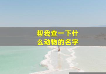 帮我查一下什么动物的名字