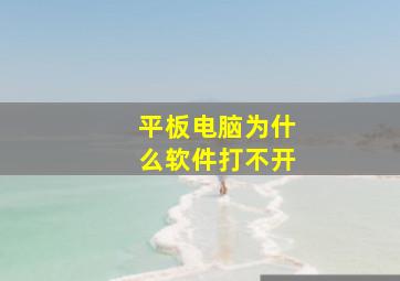 平板电脑为什么软件打不开