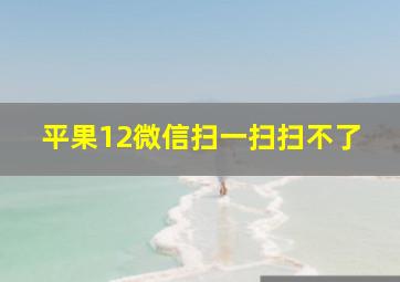 平果12微信扫一扫扫不了