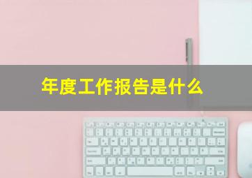 年度工作报告是什么