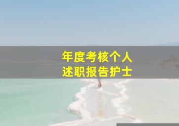 年度考核个人述职报告护士