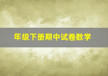 年级下册期中试卷数学