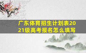 广东体育招生计划表2021级高考报名怎么填写