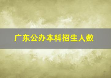 广东公办本科招生人数