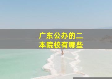 广东公办的二本院校有哪些