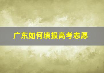 广东如何填报高考志愿