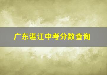 广东湛江中考分数查询