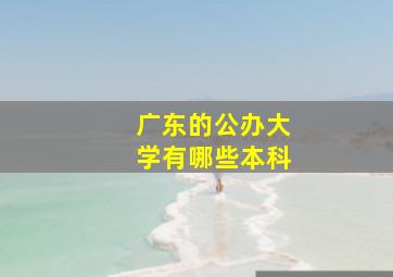 广东的公办大学有哪些本科