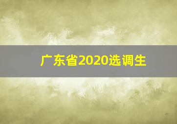 广东省2020选调生