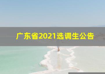 广东省2021选调生公告