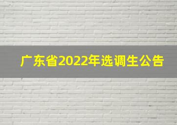 广东省2022年选调生公告