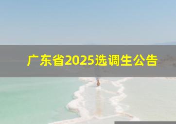 广东省2025选调生公告