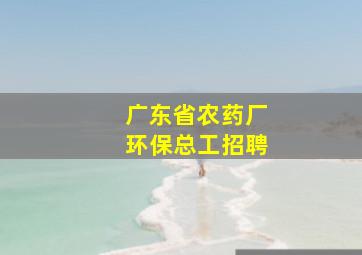 广东省农药厂环保总工招聘