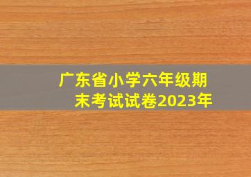 广东省小学六年级期末考试试卷2023年