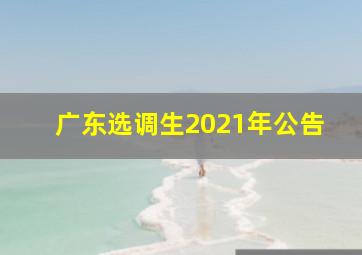 广东选调生2021年公告