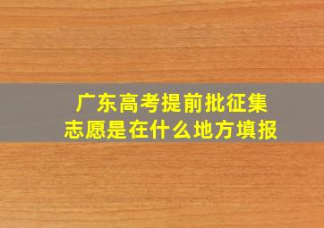 广东高考提前批征集志愿是在什么地方填报