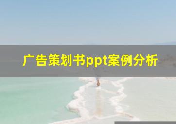 广告策划书ppt案例分析