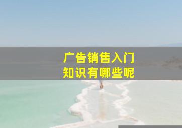 广告销售入门知识有哪些呢