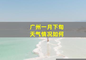 广州一月下旬天气情况如何