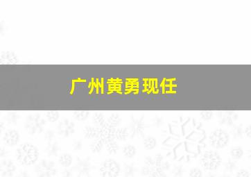 广州黄勇现任