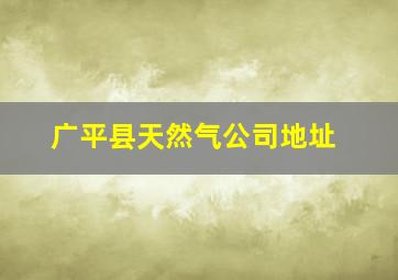 广平县天然气公司地址