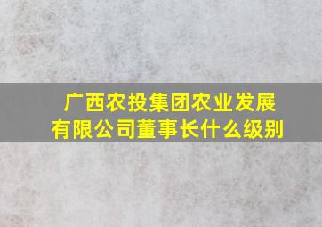 广西农投集团农业发展有限公司董事长什么级别