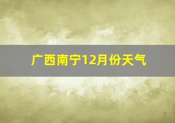 广西南宁12月份天气