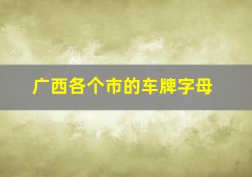 广西各个市的车牌字母