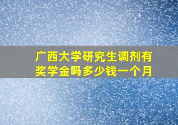 广西大学研究生调剂有奖学金吗多少钱一个月