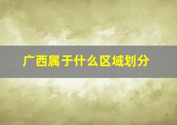 广西属于什么区域划分