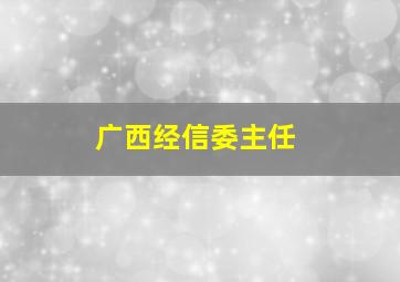 广西经信委主任