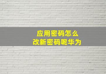 应用密码怎么改新密码呢华为