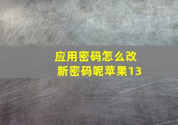 应用密码怎么改新密码呢苹果13