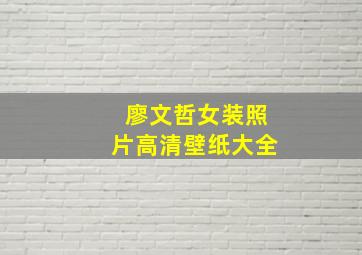 廖文哲女装照片高清壁纸大全